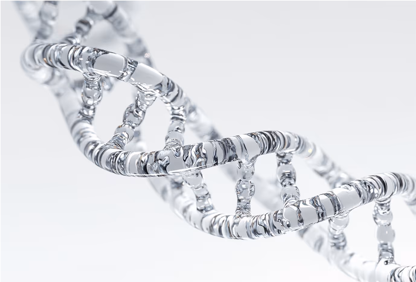 Mitochondrial Testing Kit | Mitome
Cellular Health for Optimal Energy
Mitochondria Test 