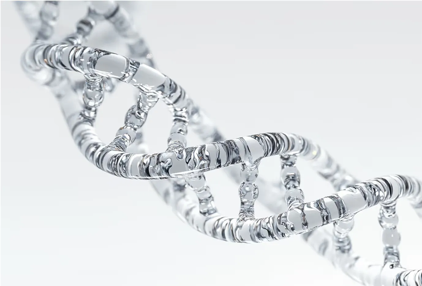Mitochondrial Testing Kit | Mitome
Cellular Health for Optimal Energy
Mitochondria Test