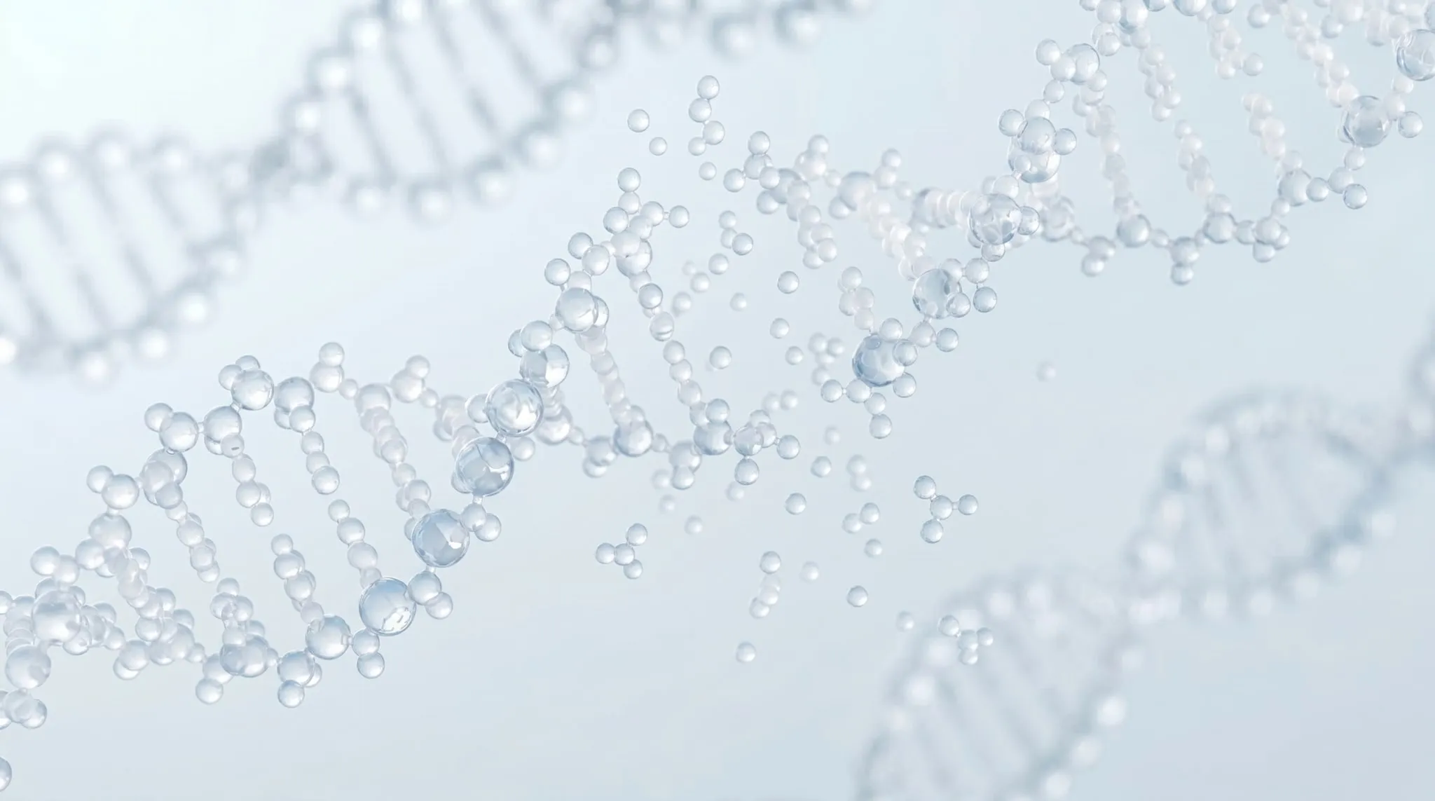 What Causes Mitochondrial Dysfunction and How to Fix it?